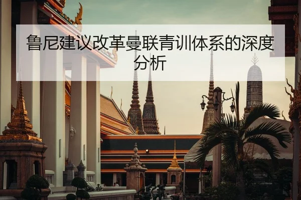 鲁尼建议改革曼联青训体系的深度分析